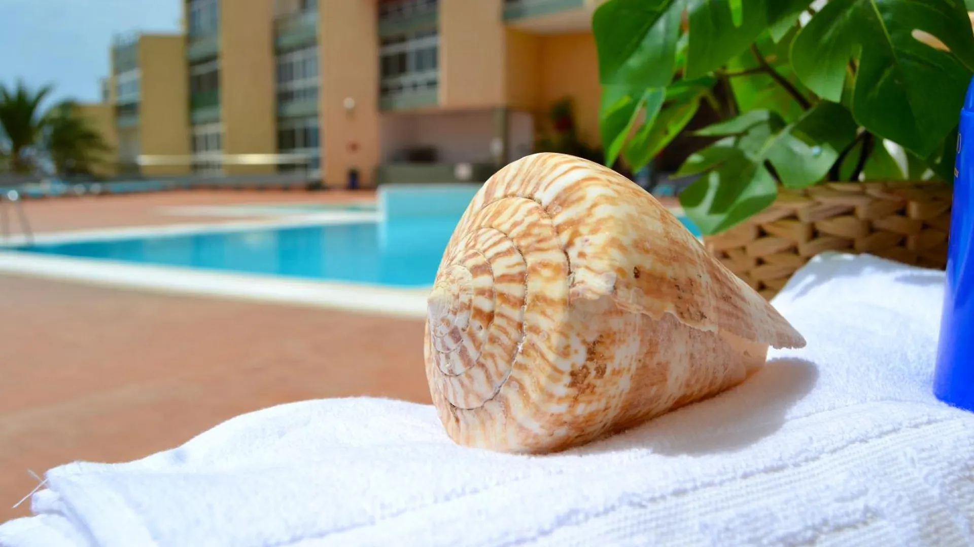 Apartamento Moana Beach Candelaria Spanyolország